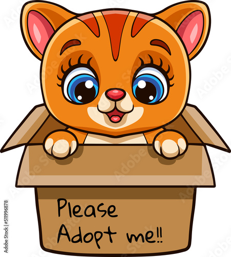 Cute cat cartoon in present gift box with text adopt me please