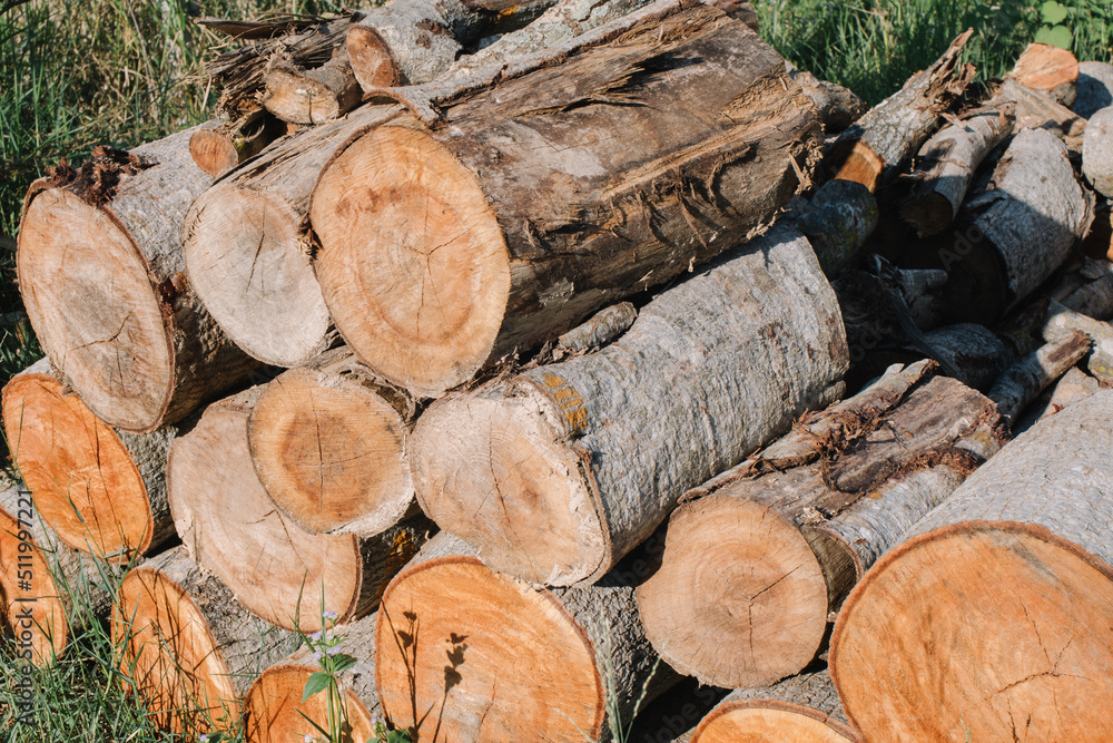 stack of firewood trunks of felled coniferous trees. stack of firewood trunks of felled coniferous trees.