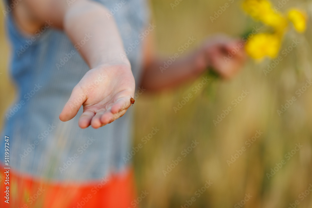 Ladybug crawls on the palm of the girl. A close-up of a beetle on a child's arm. Ladybug crawls on the palm of the girl. A close-up of a beetle on a child's arm.