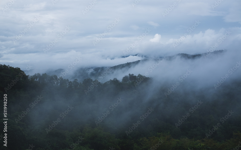Landscape image of greenery rainforest mountains and hills on foggy day Landscape image of greenery rainforest mountains and hills on foggy day