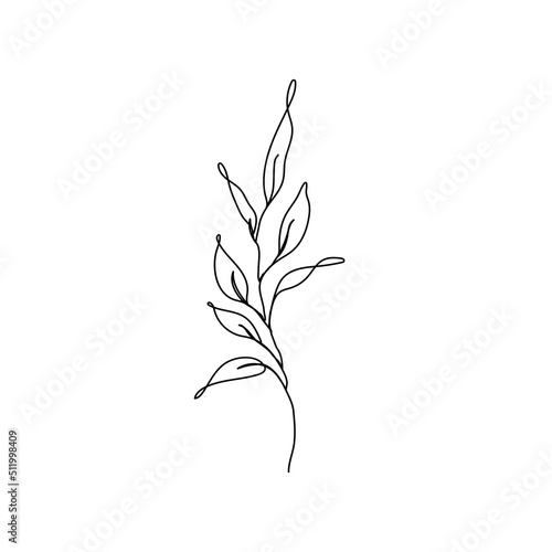 Leaves Branch Vector Hand Drawn Line Art Drawing. Minimalist Trendy Contemporary Floral Design Perfect for Wall Art  Prints  Social Media  Posters  Invitations  Branding Design.