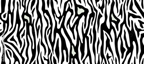 Zebra or tiger stripes, seamless texture. Animal skin pattern in black and white. Abstract zigzag wallpaper for apparel dress clothes fabric print. Vector background