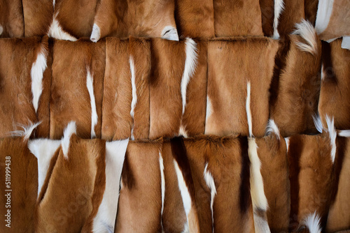 Springbuck skin rugs in South Africa