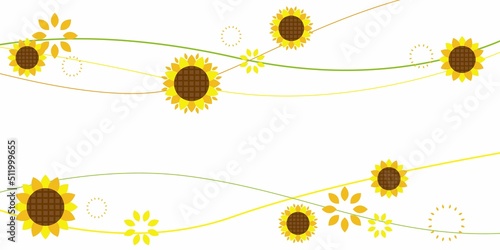 Sunflower decoration border. Fresh sunflower decorative graphic. Botanical graphic elements. Vector illustration.