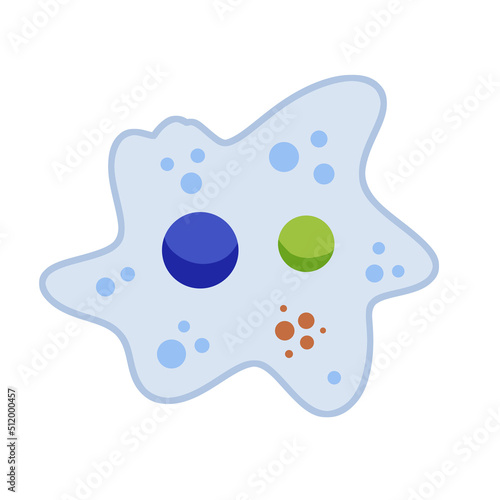 Obraz na plátně Amoeba cell. Small unicellular animal. Virus and bacteria.