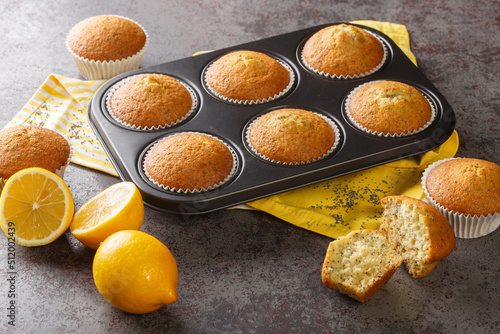 Delicious healthy muffins with poppy seeds and lemon zest close-up in a metal muffin pan on the table. horizontal