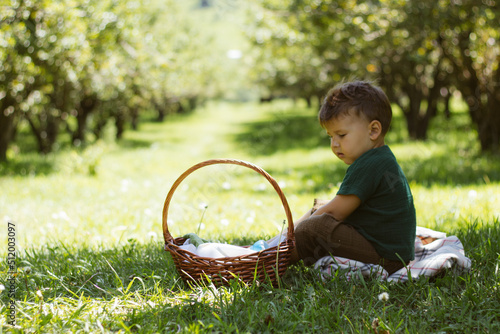 A cute boy sits on the grass near the apple tree, next to it is a basket .