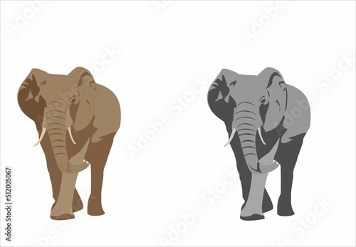 Canvas Print Grey and brown color elephants in the white backgroud vector