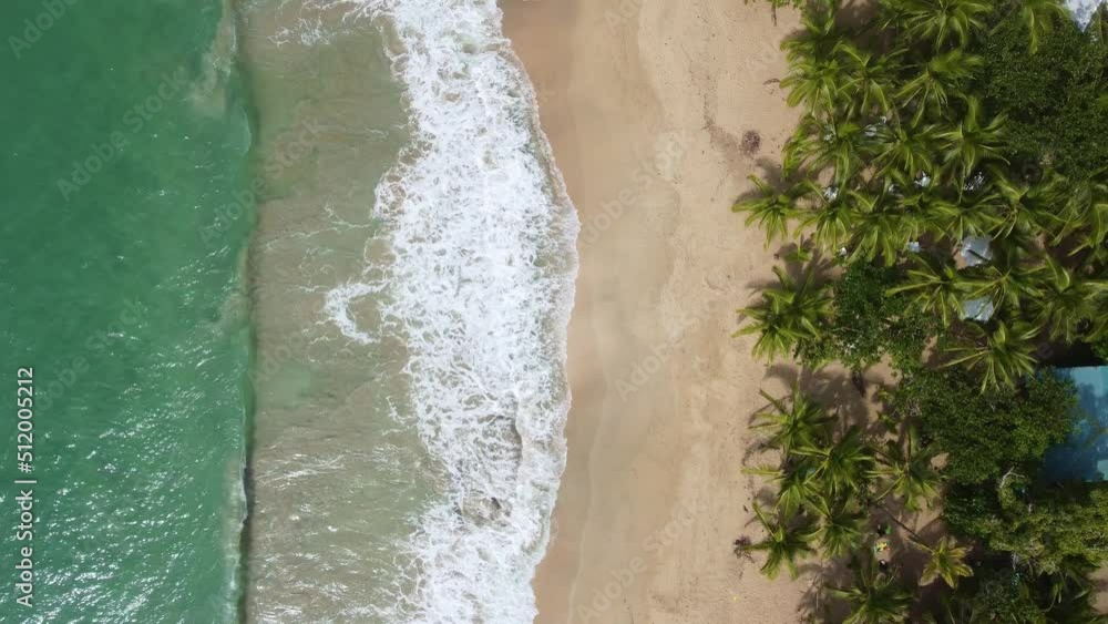 Puerto Viejo, Costa Rica: Aerial top down drone footage of the stunning beach near Puerto Viejo town along the Caribbean coast in Costa Rica in Central America. Puerto Viejo, Costa Rica: Aerial top down drone footage of the stunning beach near Puerto Viejo town along the Caribbean coast in Costa Rica in Central America.