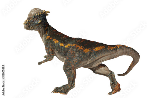 Pachycephalosaurus, dinosaur from the Late Cretaceous period, isolated on white background © dottedyeti
