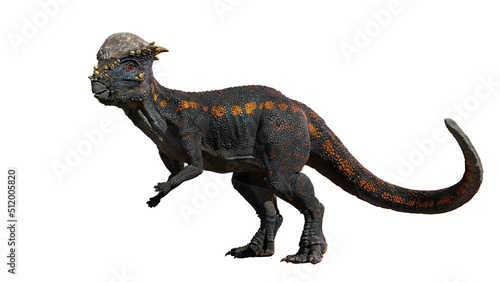 Pachycephalosaurus  dinosaur from the Late Cretaceous period  isolated on white background