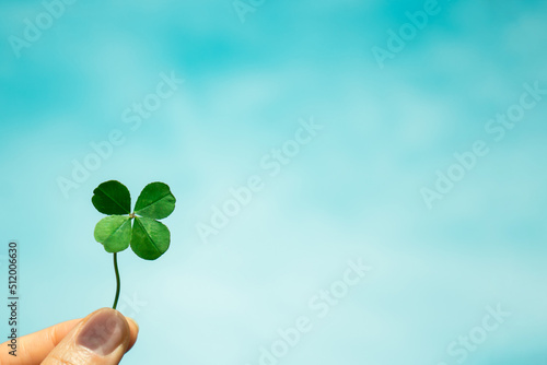 Four-Leaf Clover with blue sky background. Symbol of good luck.  © loveallyson