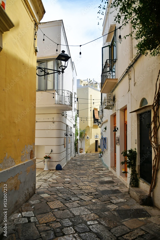A narrow street between the old houses of Gallipoli, an old village in the province of Lecce in Italy.