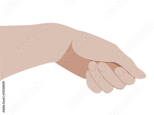 Vector empty hand carrying a bag, giving a package, watering flowers etc isolated on white background