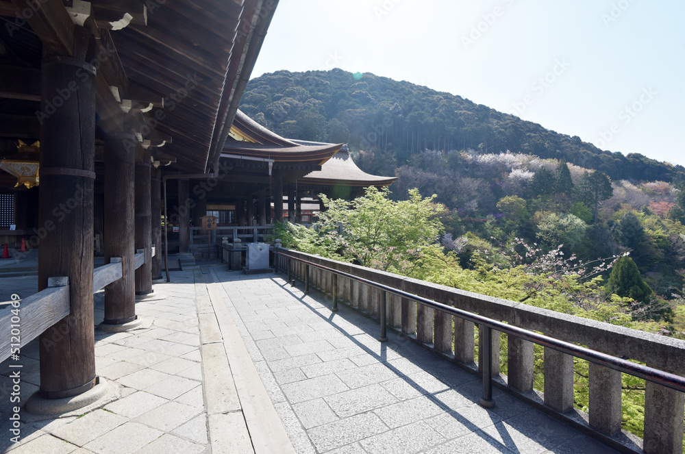 春の清水寺　清水の舞台遠望　京都市東山区