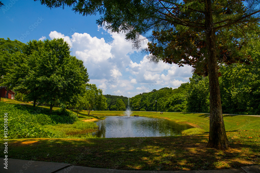 a gorgeous summer landscape in the park with a pond with a water ...
