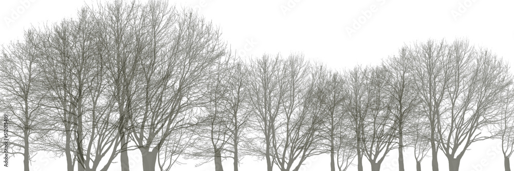 Abstract background. Forest wilderness landscape. Abstract background. Forest wilderness landscape.