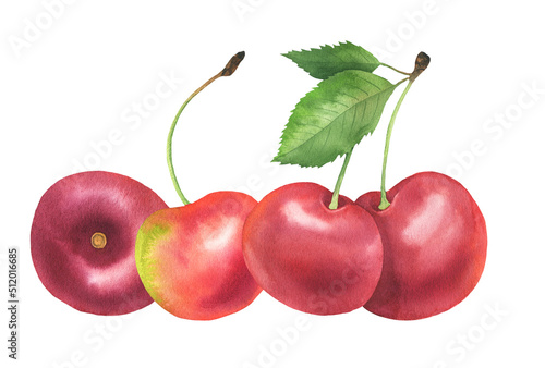 Watercolor Cherry illustration
