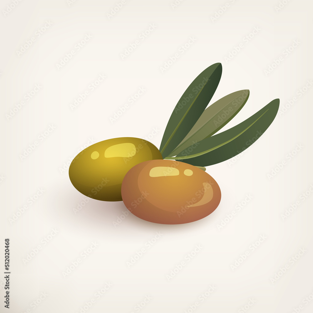 Italian green olive berries or fruits, vector icon Italian green olive berries or fruits, vector icon