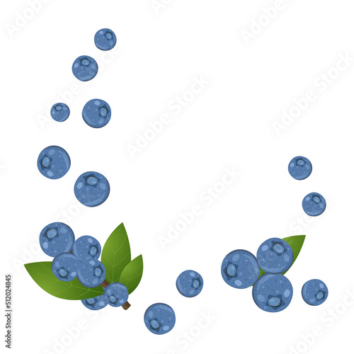 Fresh blueberries with leaves, flat style vector illustration isolated on white background, border