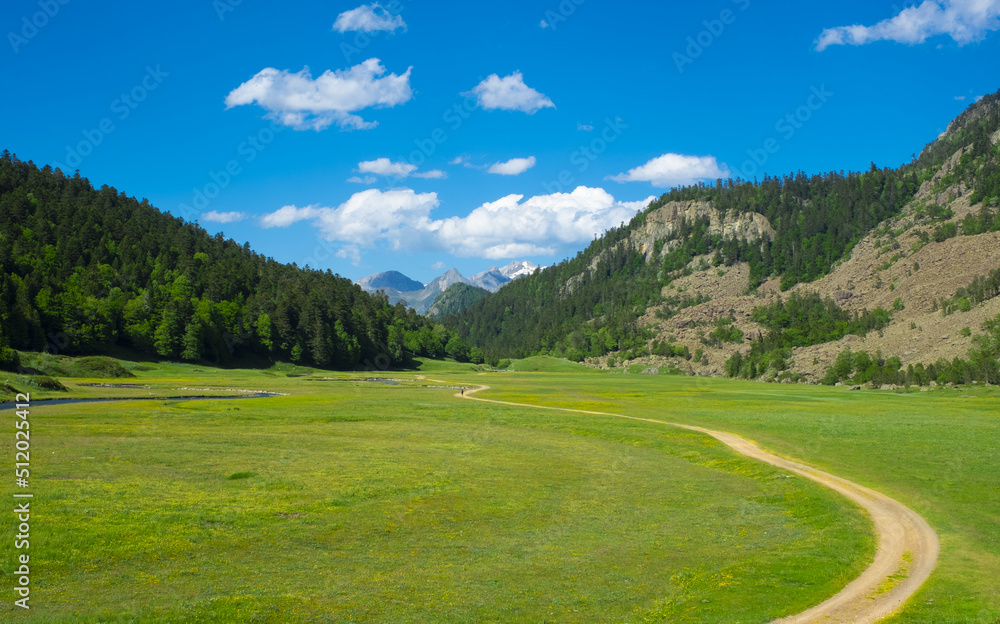 Path through the meadow in the National Park of the Pyrenees National Park, France Path through the meadow in the National Park of the Pyrenees National Park, France