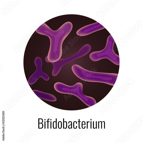 Bifidobacterium Bacteria Round Composition