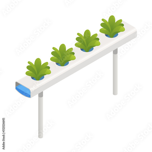 Modern Greenhouse Aeroponics Composition