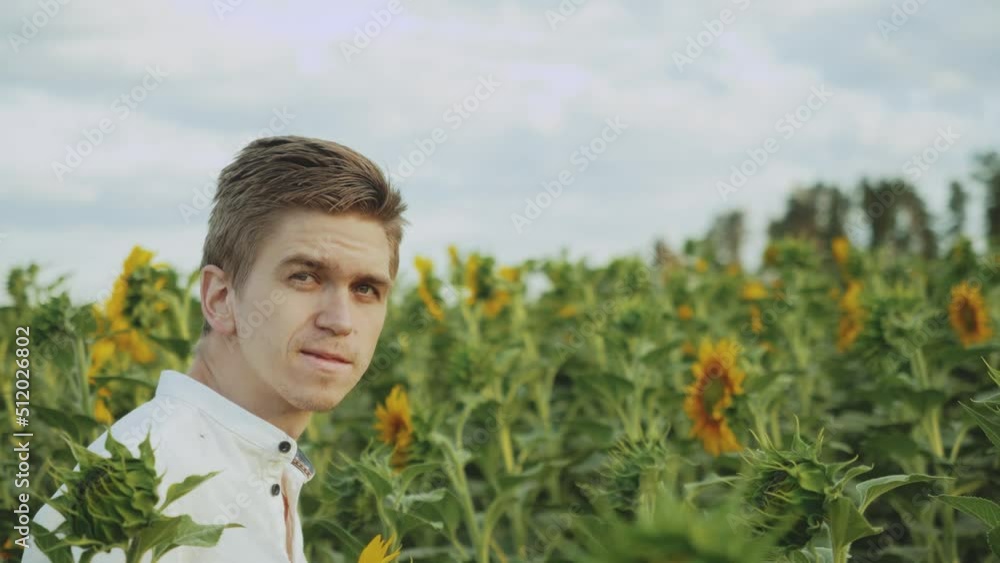 Guy walks in a field of sunflowers and looking around, summer cloudy weather. Portrait of a guy posing for the camera Guy walks in a field of sunflowers and looking around, summer cloudy weather. Portrait of a guy posing for the camera