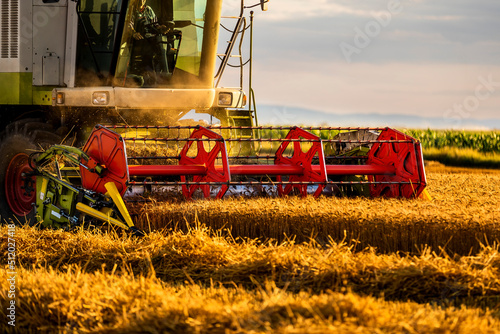 Mature farmer in combine harvester harvesting wheat