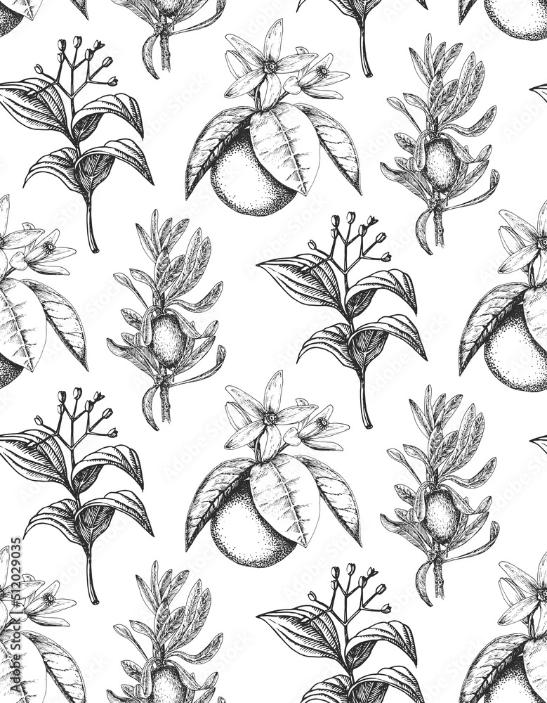 Wallpaper with botanical drawings. Herbs in vector