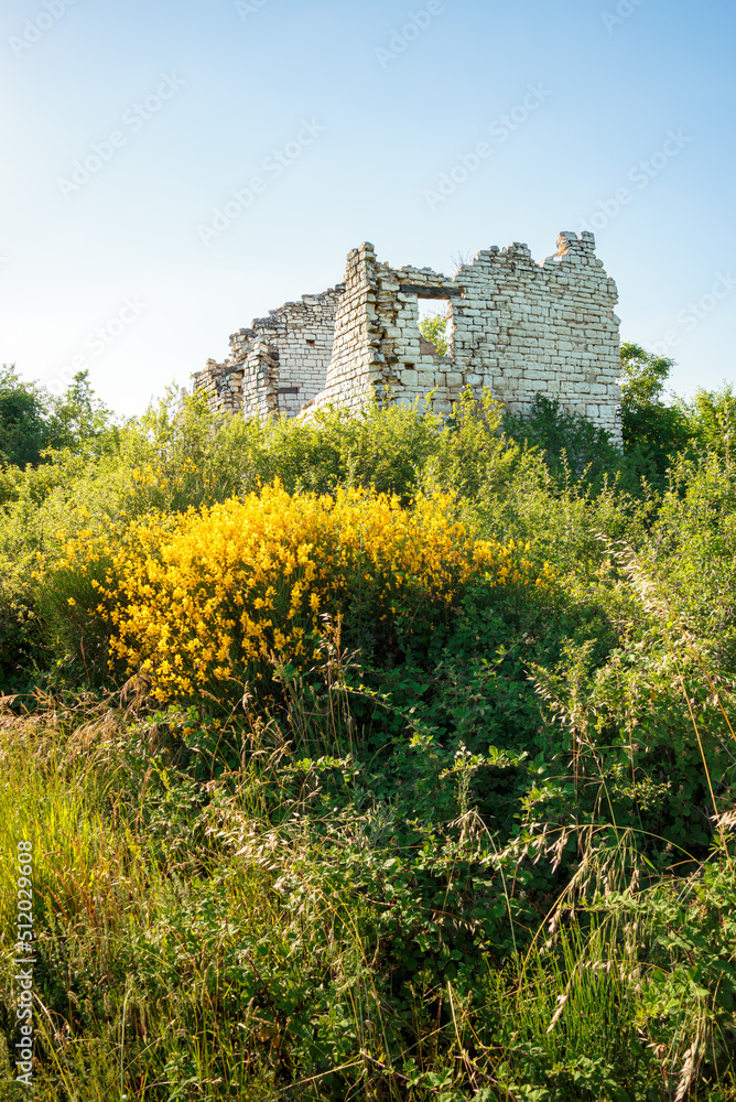 Ruin of an old stone house, in the Cesane mountains in Italy, Marche, close to Pesaro and Urbino. Various plants like broom and other herbs groe around