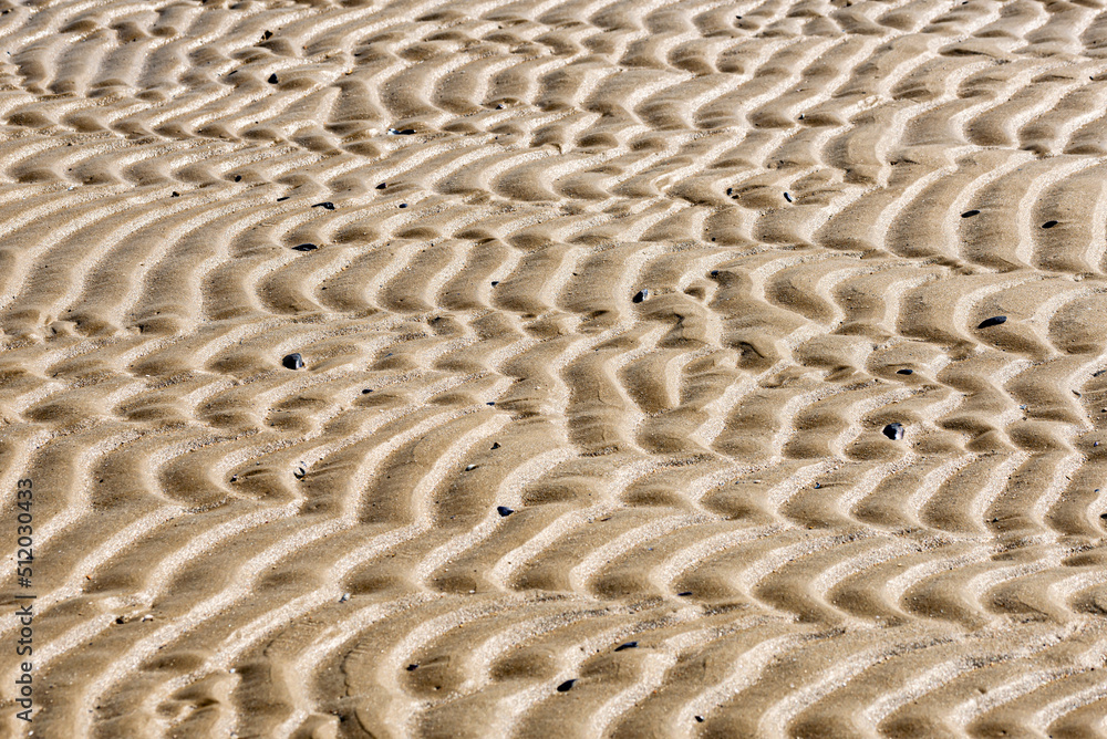 Sand texture on the beach close to the Adriatic sea in Italy
Sand texture on the beach close to the Adriatic sea in Italy