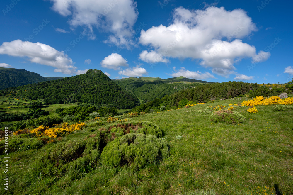 Paysage de printemps en Auvergne dans les Monts Dore et le massif du Sancy en France autour du col de La Croix Saint Robert