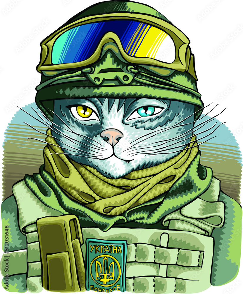 Ukrainian cat in Ukrainian military uniform Stock Vector Adobe Stock