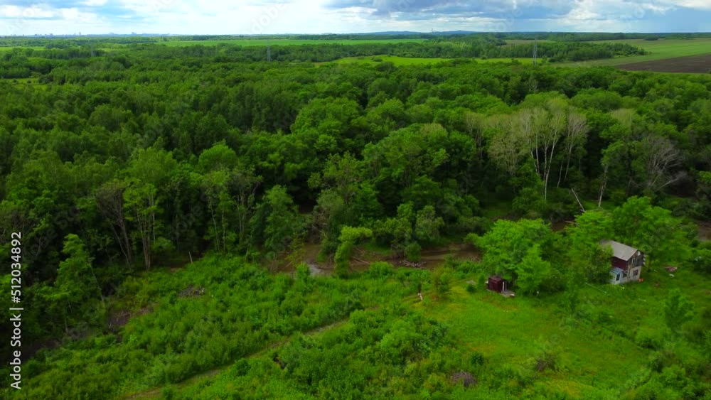 Flying over a forest area. Cloudy weather, dense crowns of trees. Flying over a forest area. Cloudy weather, dense crowns of trees.