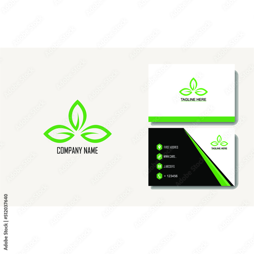 Professional business card template design complete with logo Professional business card template design complete with logo