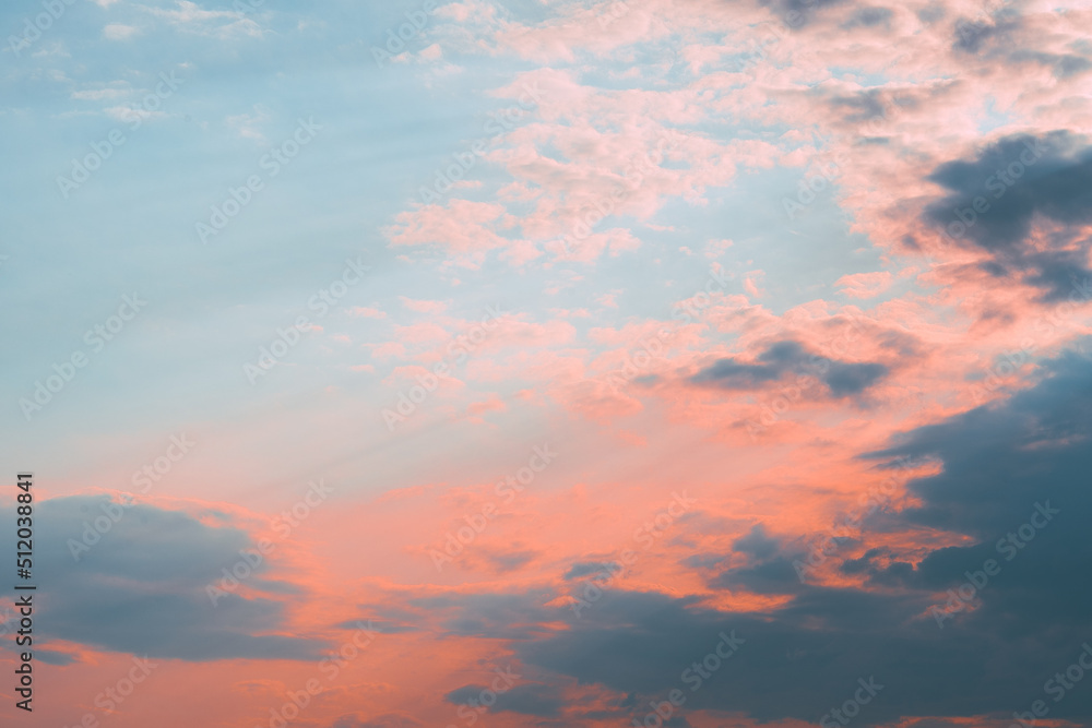 Fototapeta premium 昼と夜のあいだ