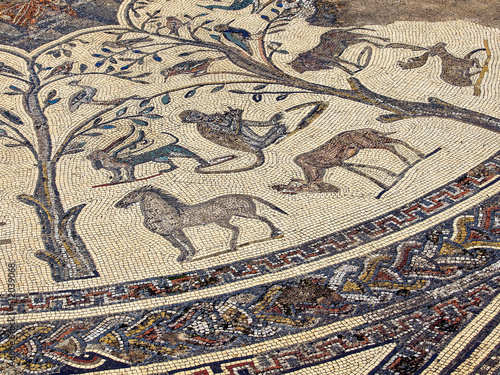 Mosaicos de la casa de orfeo.Ciudad Romana de Volubilis II d.c.   yacimiento arqueologico.Marruecos.
