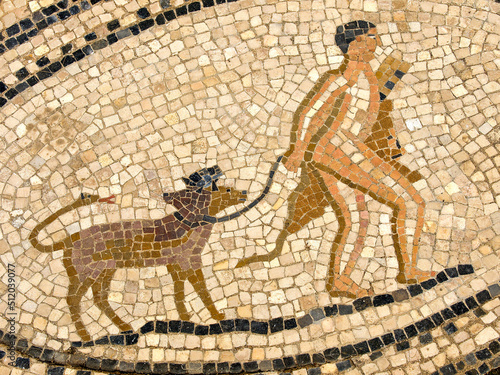 Mosaicos de la casa de los trabajos de Hércules.Ciudad Romana de Volubilis(II d.c.), yacimiento arqueologico.Marruecos.