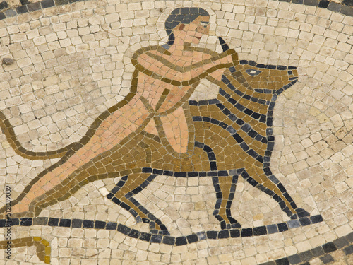 Mosaicos de la casa de los trabajos de Hércules.Ciudad Romana de Volubilis(II d.c.), yacimiento arqueologico.Marruecos.