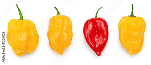 yellow and red habanero chili hot peppers isolated on white background. clipping path photo