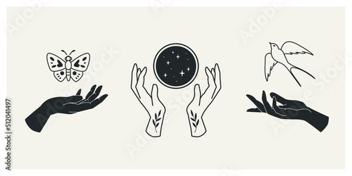 Set of female hands with butterfly, bird and crystal ball. This magical collection will be great for design of mystical project, card and poster making, decoration clothes and other surfaces. photo