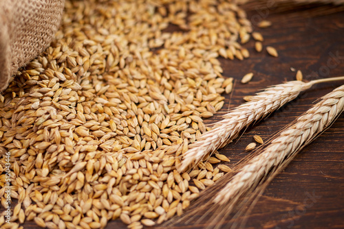 Fotografija barley grain on the wooden background