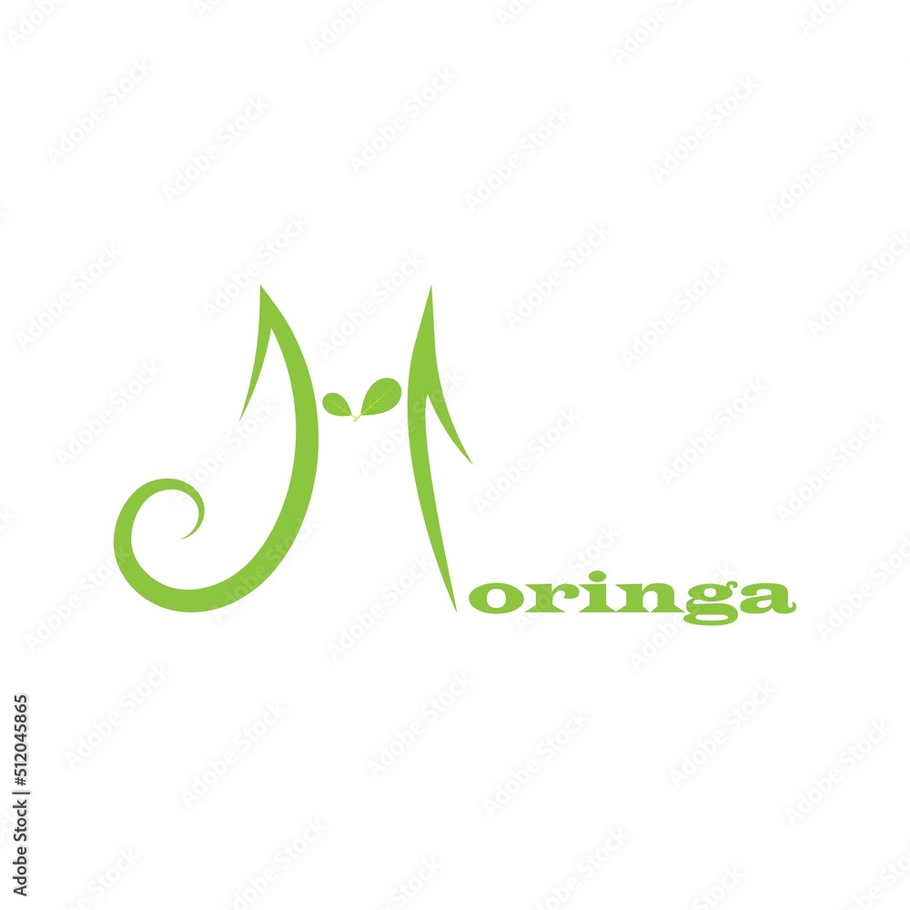Moringa leaf logo illustration vector design Moringa leaf logo illustration vector design