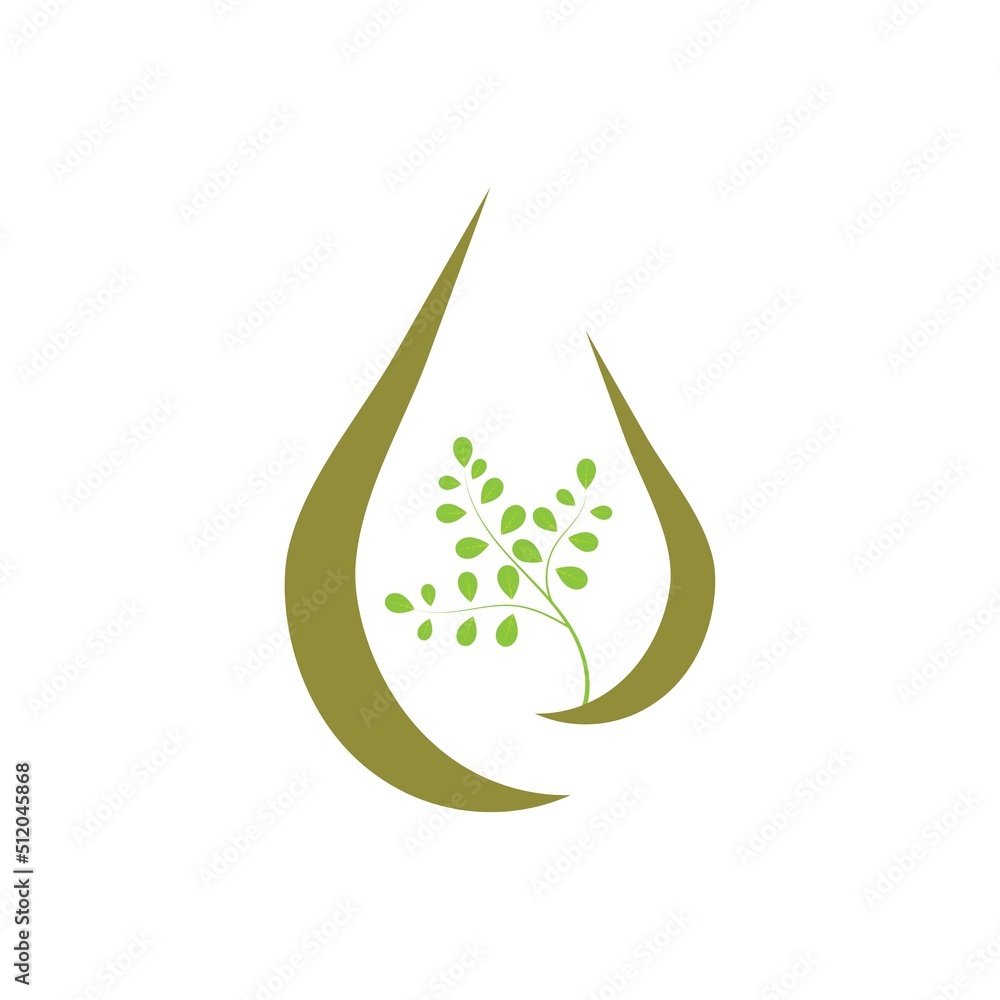 Moringa leaf logo illustration vector design Moringa leaf logo illustration vector design