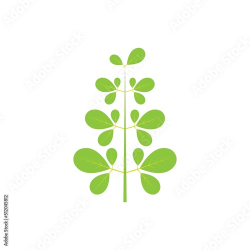 Moringa leaf logo illustration vector design © Achmad99