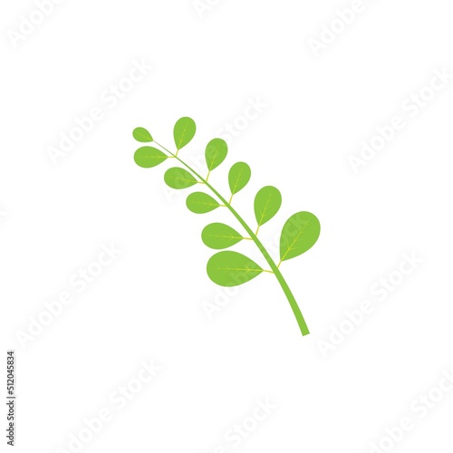 Moringa leaf logo illustration vector design © Achmad99