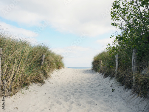 Beautiful pathway to the beach on a slightly cloudy spring day, Baltic Sea, Germany
