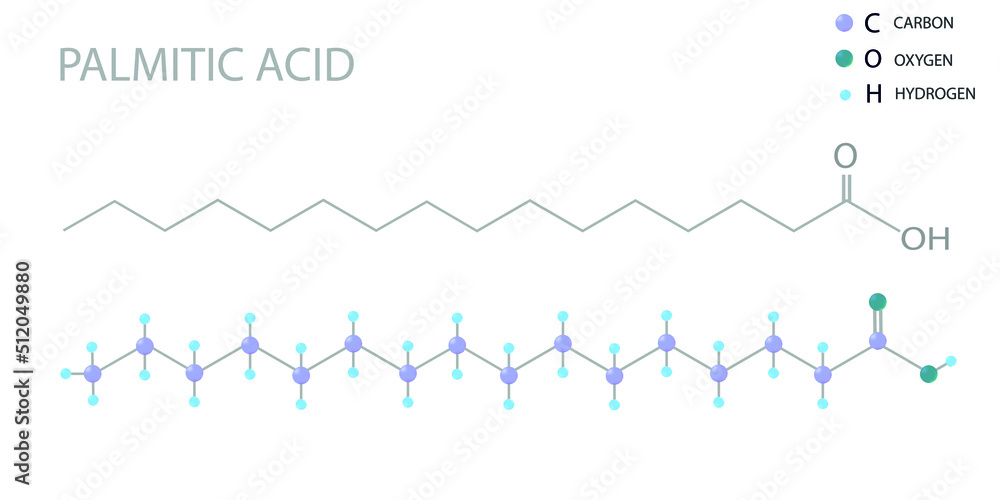 Palmitic acid molecular skeletal 3D chemical formula.	