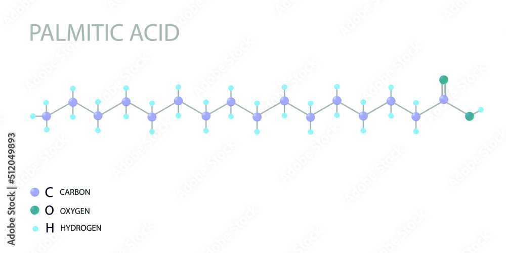  Palmitic acid molecular skeletal 3D chemical formula.	